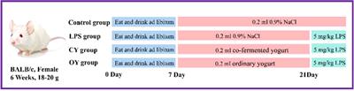 Immunomodulatory effects of the Bifidobacterium longum BL-10 on lipopolysaccharide-induced intestinal mucosal immune injury